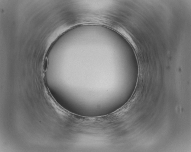 X0000090601485200707171056