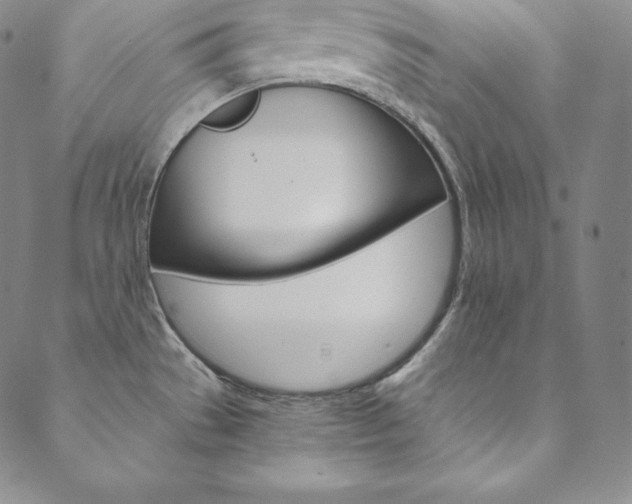 X0000090601529200707171056
