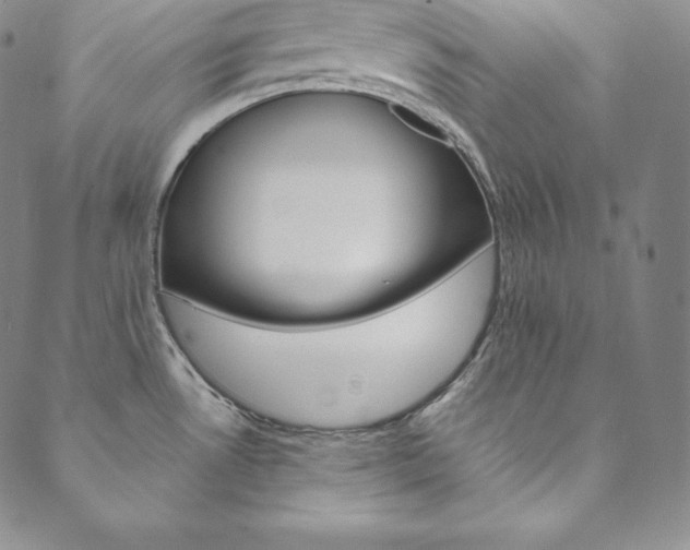 X0000090601530200707171056