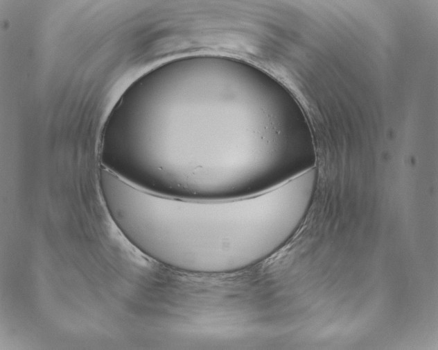 X0000090601532200707171056