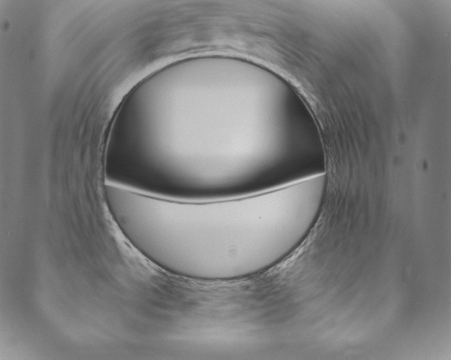 X0000090601534200707171056