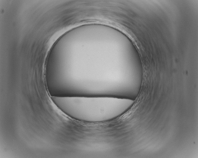 X0000090601535200707171056