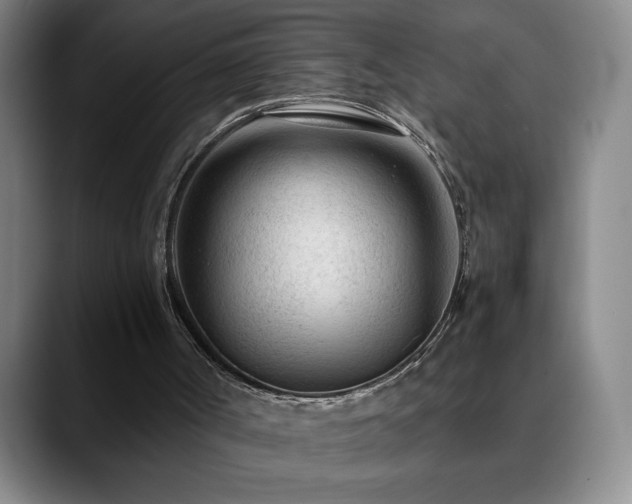 X0000090600002200707171341