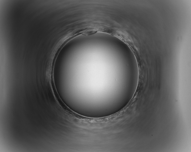 X0000090600003200707171341