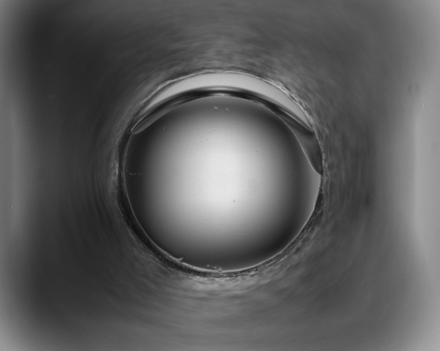 X0000090600005200707171341