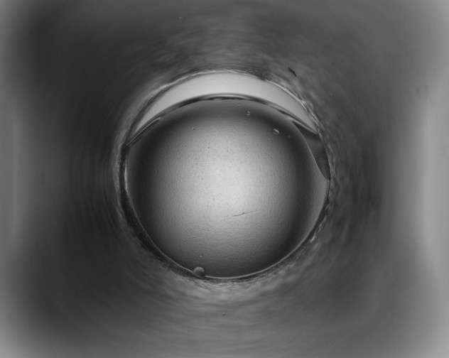 X0000090600006200707171341