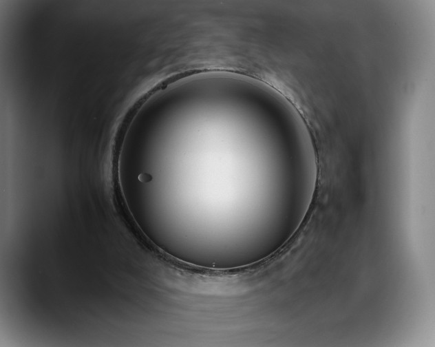 X0000090600008200707171341