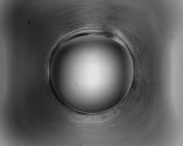 X0000090600011200707171341
