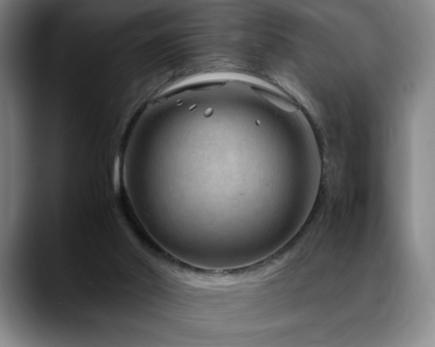 X0000090600014200707171341