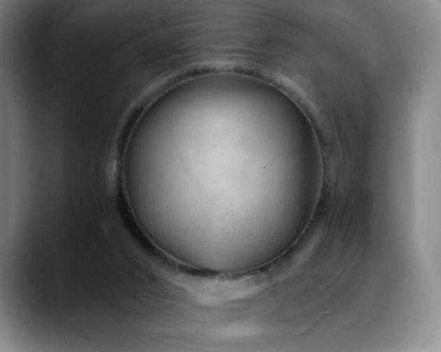 X0000090600016200707171341