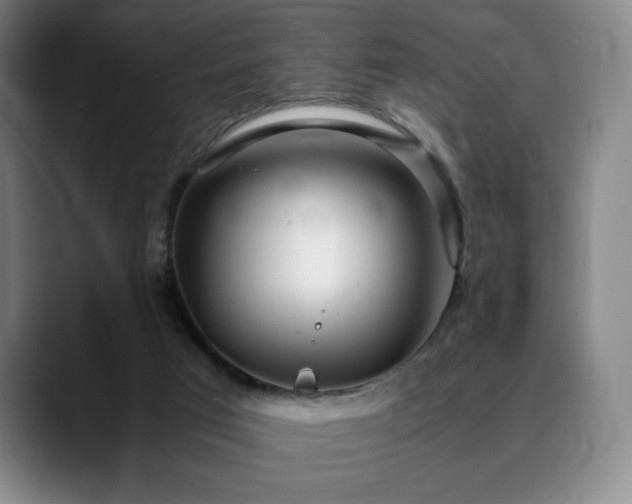X0000090600017200707171341