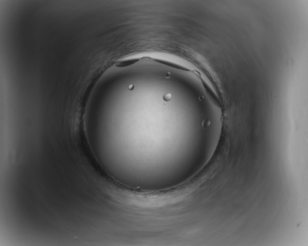 X0000090600018200707171341