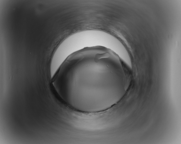 X0000090600019200707171341