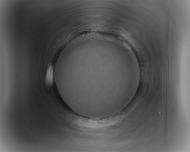 X0000090600022200707171341