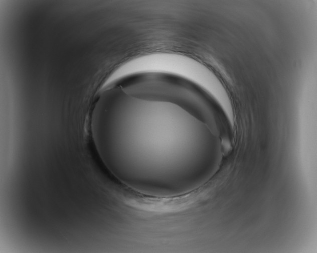 X0000090600023200707171341