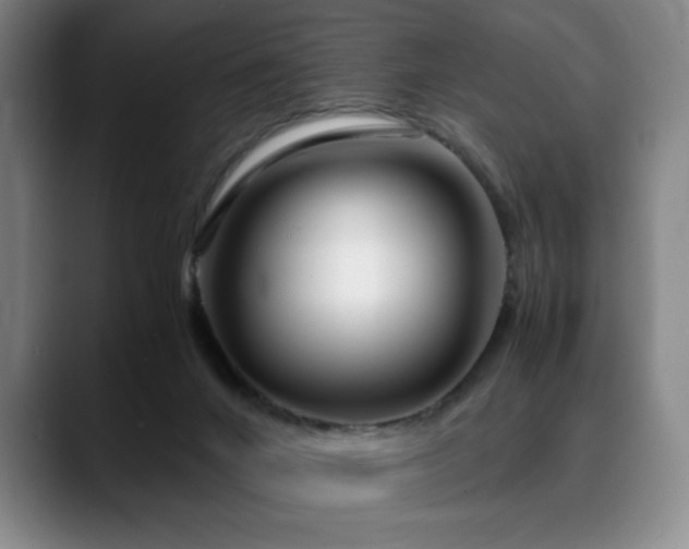 X0000090600024200707171341