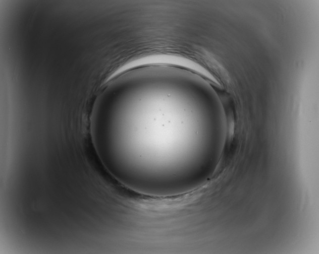 X0000090600025200707171341