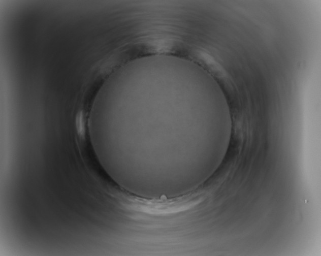 X0000090600026200707171341