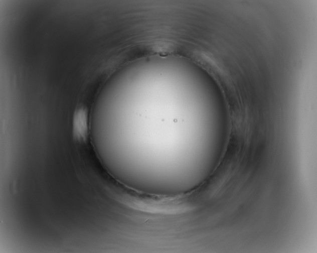 X0000090600028200707171341
