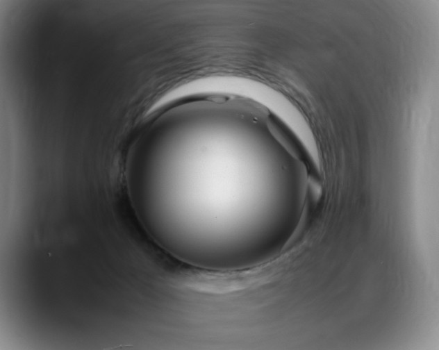 X0000090600029200707171341