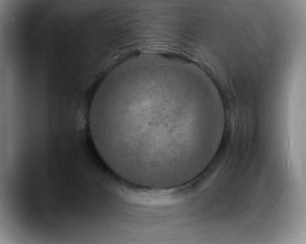 X0000090600032200707171341