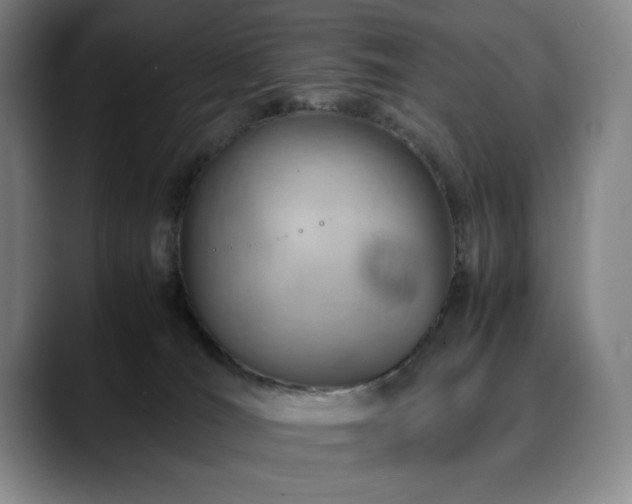 X0000090600036200707171341