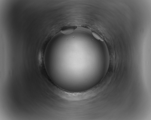 X0000090600038200707171341