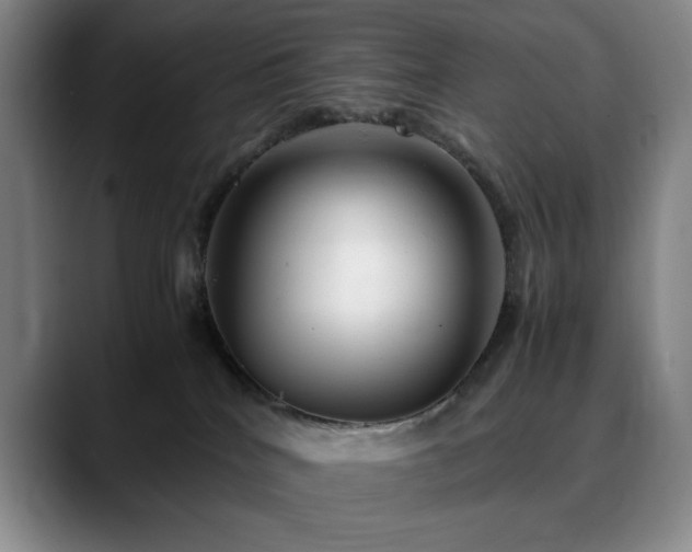 X0000090600040200707171341
