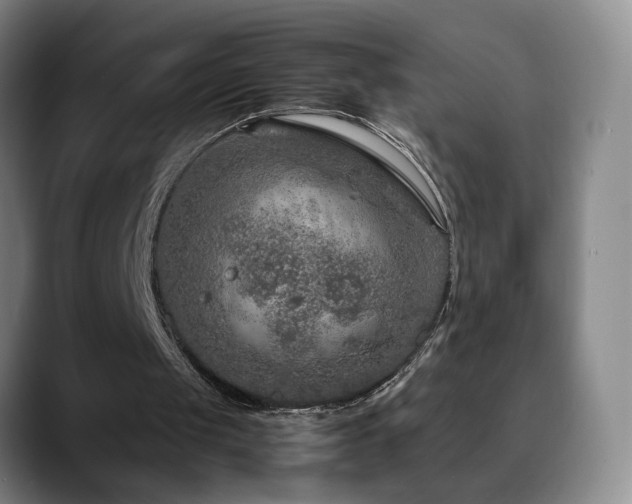 X0000090600049200707171340