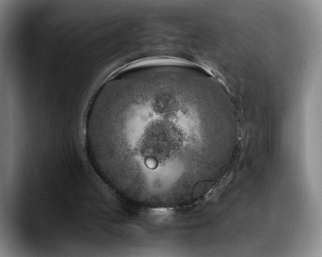 X0000090600053200707171340