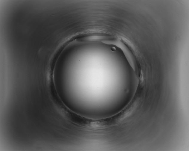 X0000090600064200707171340