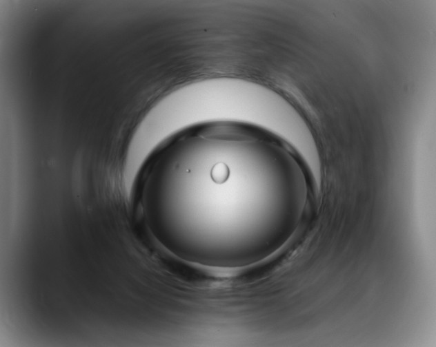 X0000090600068200707171340