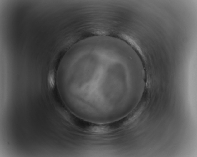 X0000090600069200707171340