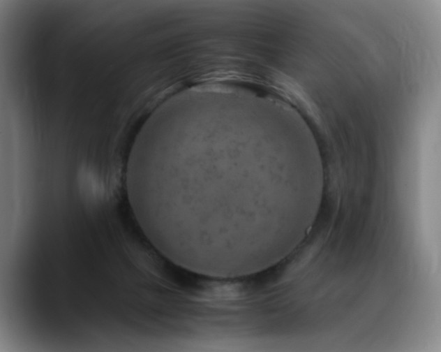 X0000090600073200707171340