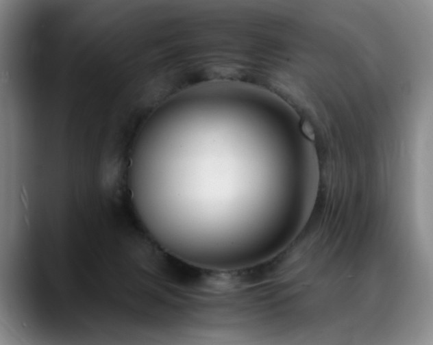 X0000090600079200707171340