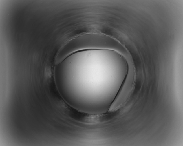 X0000090600084200707171340