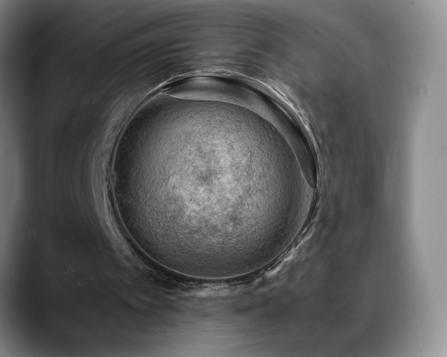 X0000090600097200707171340