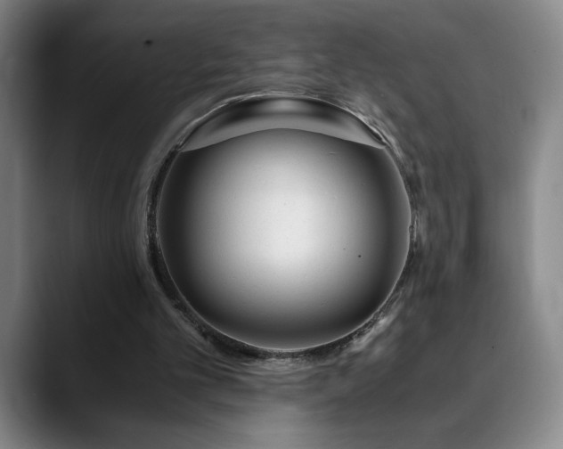 X0000090600101200707171340