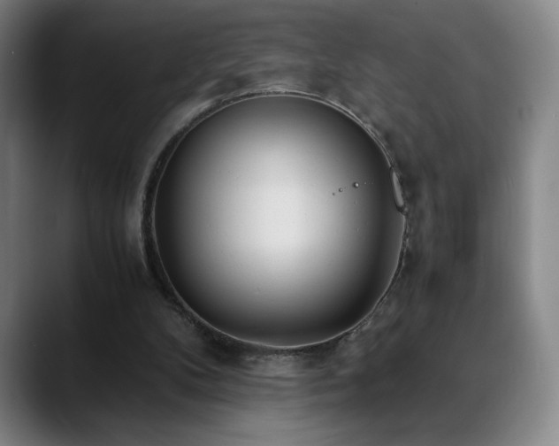 X0000090600104200707171340
