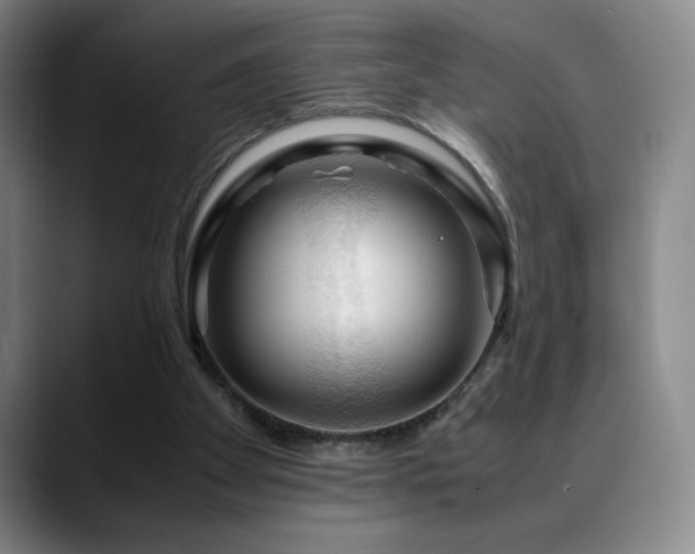 X0000090600105200707171340