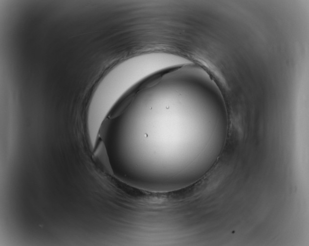 X0000090600110200707171340