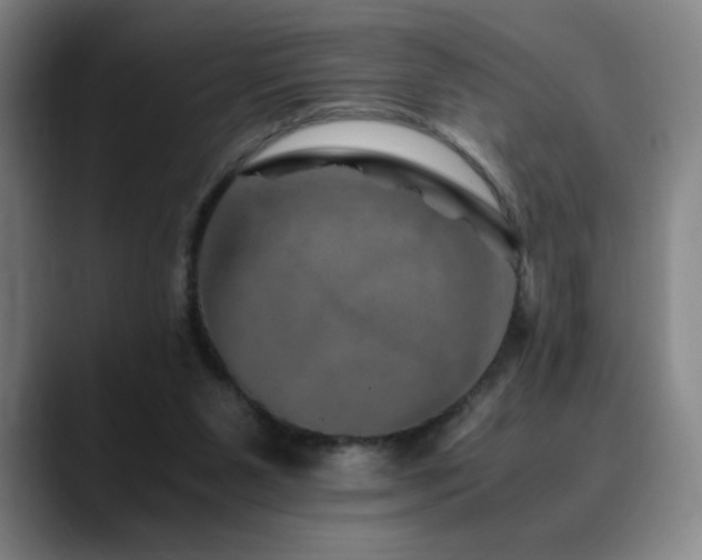 X0000090600111200707171340
