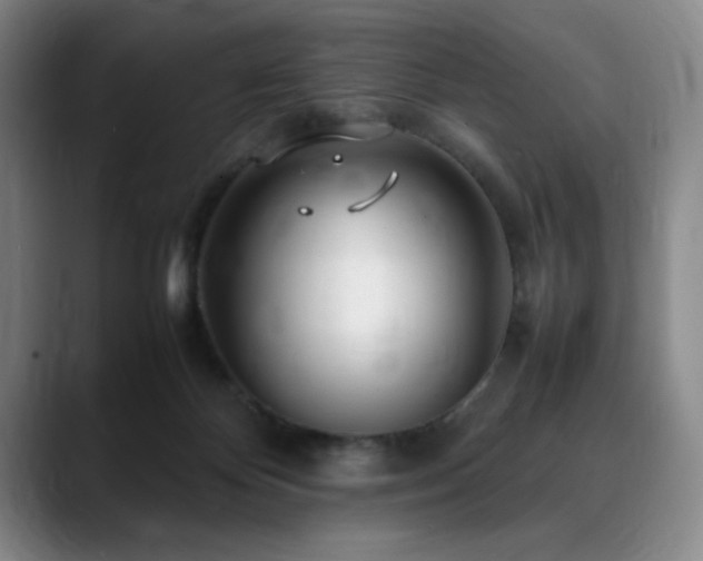X0000090600124200707171340
