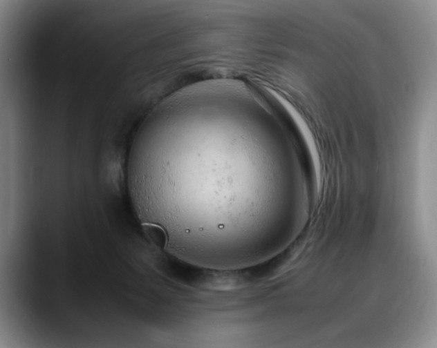 X0000090600127200707171340