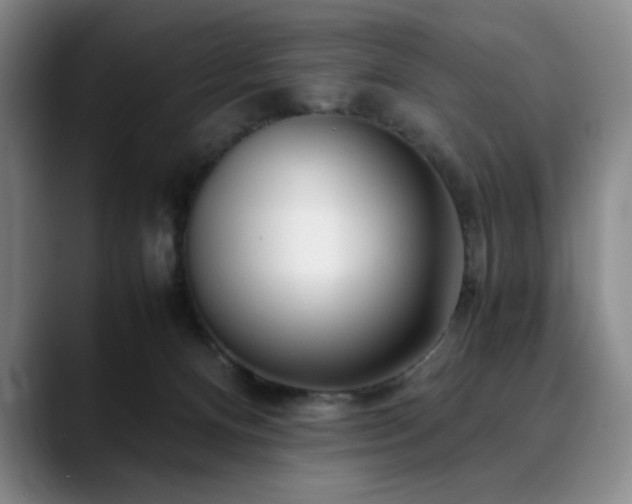 X0000090600128200707171340