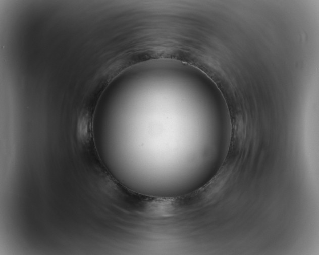 X0000090600138200707171340