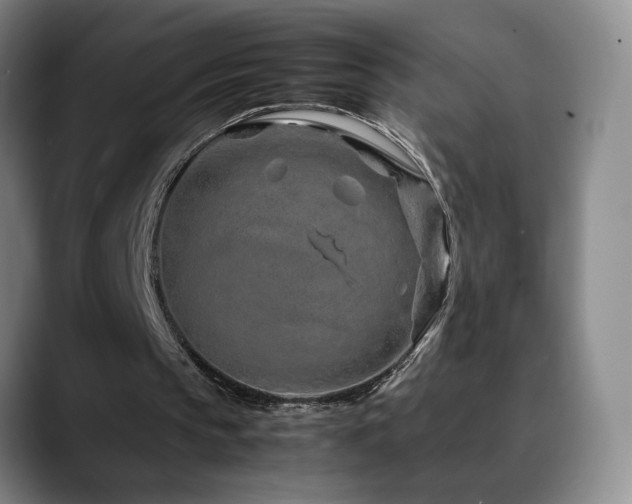X0000090600145200707171339