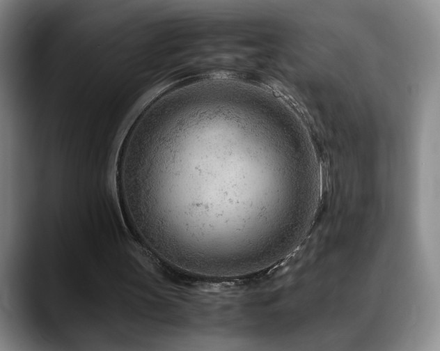 X0000090600147200707171339