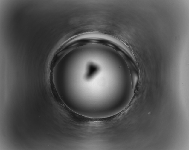X0000090600150200707171339