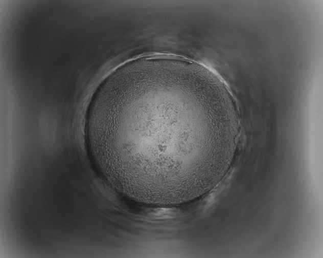 X0000090600151200707171339